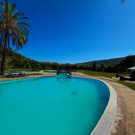 Cilento *